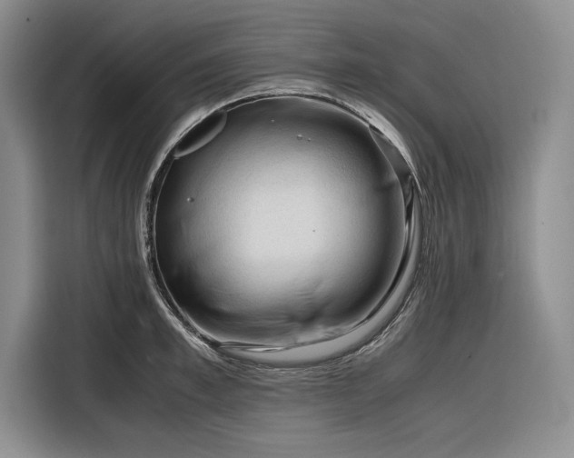 X0000116270997200912071039
