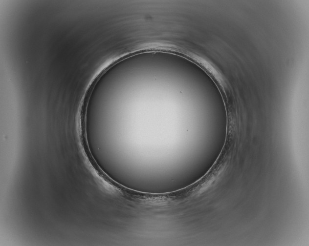 X0000116270999200912071039
