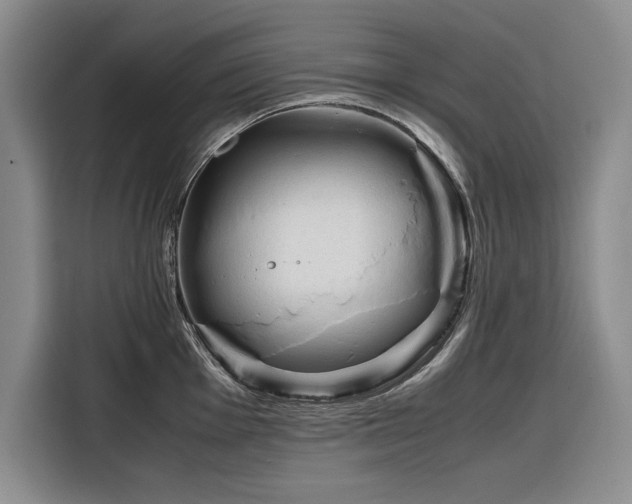 X0000116271001200912071038