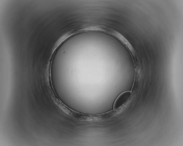 X0000116271002200912071038