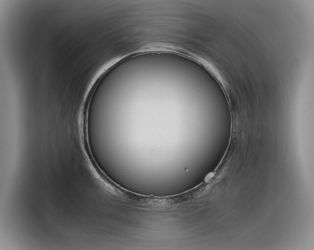 X0000116271003200912071038