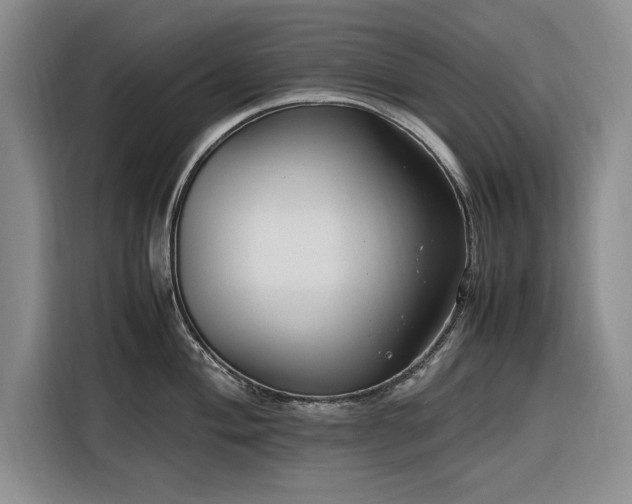 X0000116271004200912071038