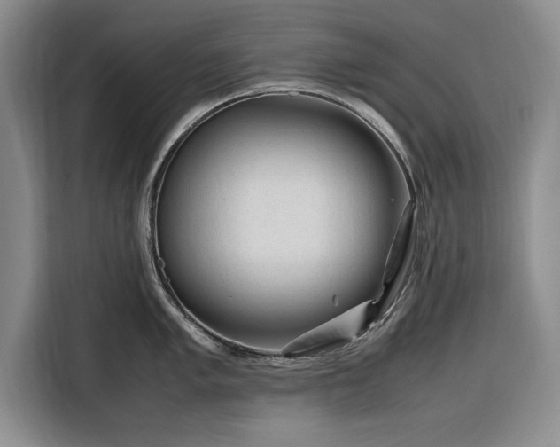 X0000116271005200912071038