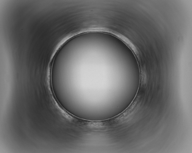 X0000116271006200912071038