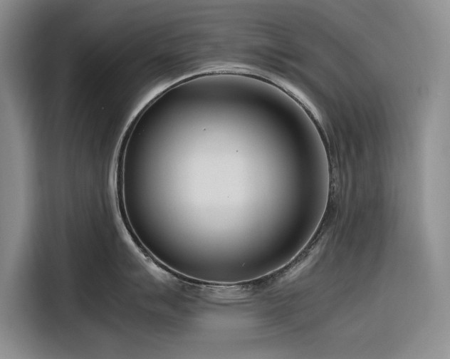 X0000116271007200912071038