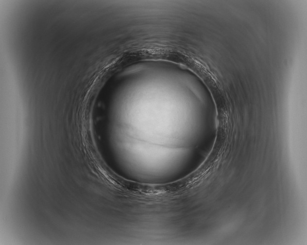 X0000116271009200912071038