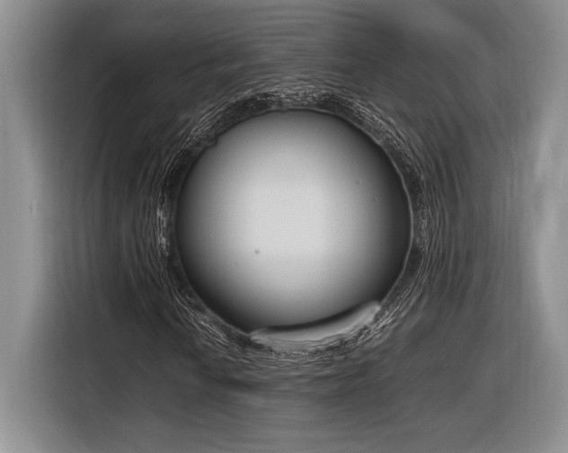 X0000116271010200912071038
