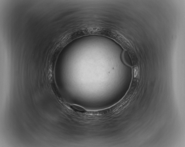 X0000116271011200912071038