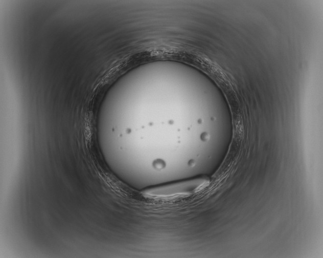 X0000116271012200912071038