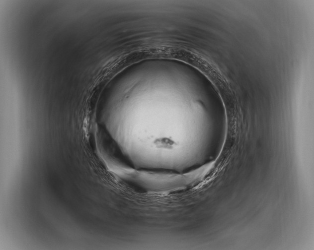 X0000116271013200912071038