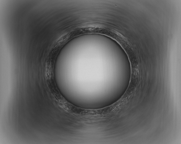 X0000116271014200912071038