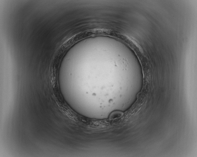X0000116271015200912071038