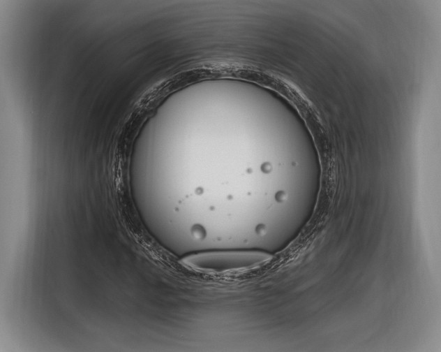 X0000116271016200912071038