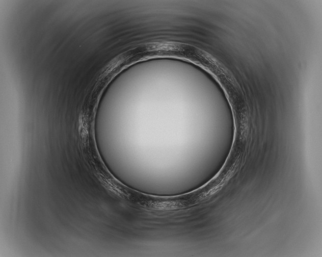 X0000116271017200912071038