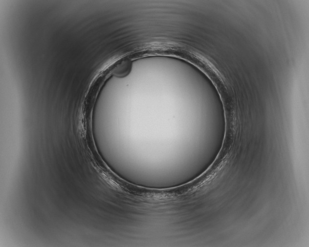 X0000116271018200912071038