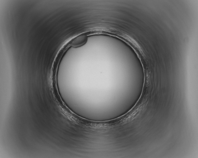 X0000116271020200912071038