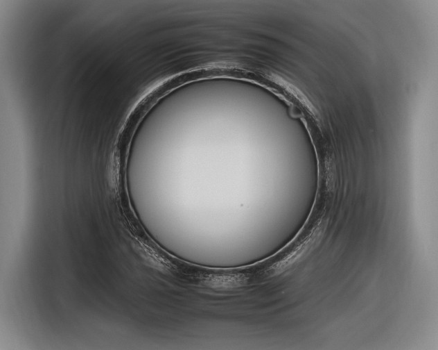 X0000116271021200912071038
