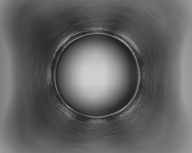 X0000116271023200912071038