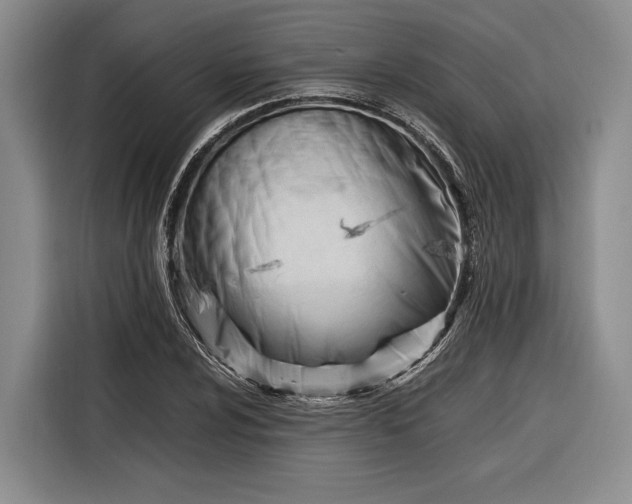 X0000116271024200912071038