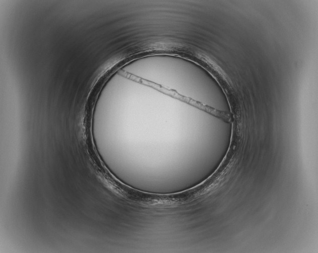 X0000116271026200912071038