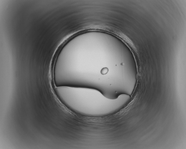 X0000116271028200912071038