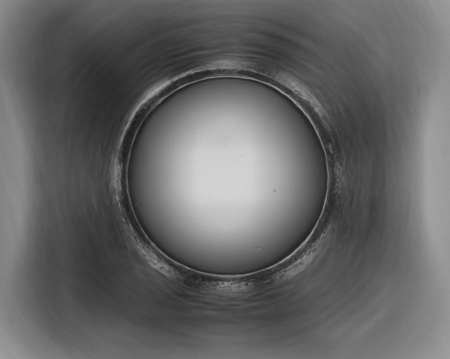 X0000116271029200912071038