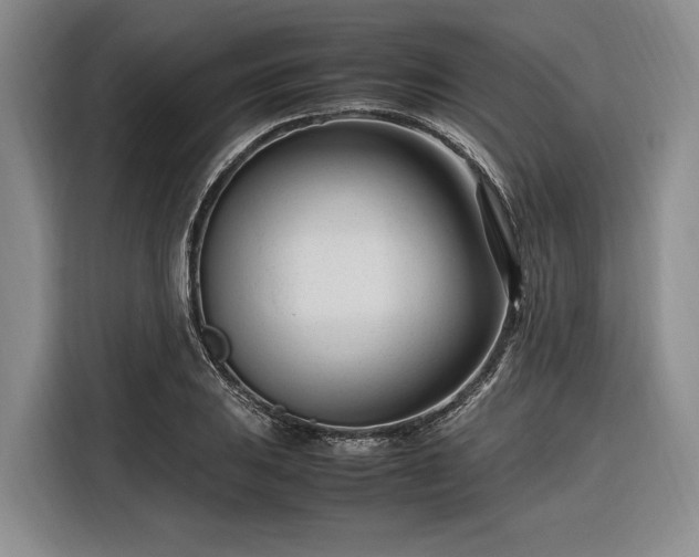 X0000116271031200912071038