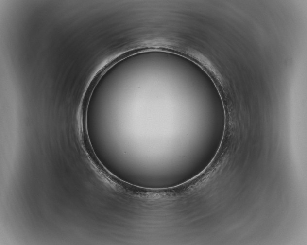 X0000116271032200912071038