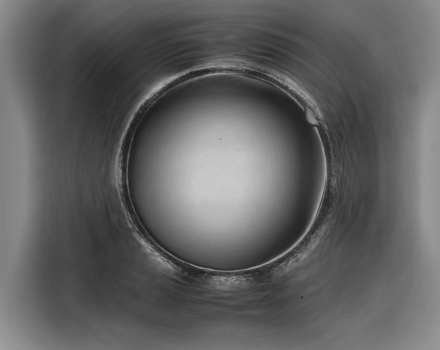 X0000116271037200912071038