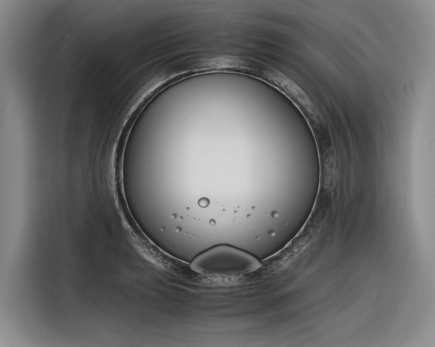 X0000116271039200912071038
