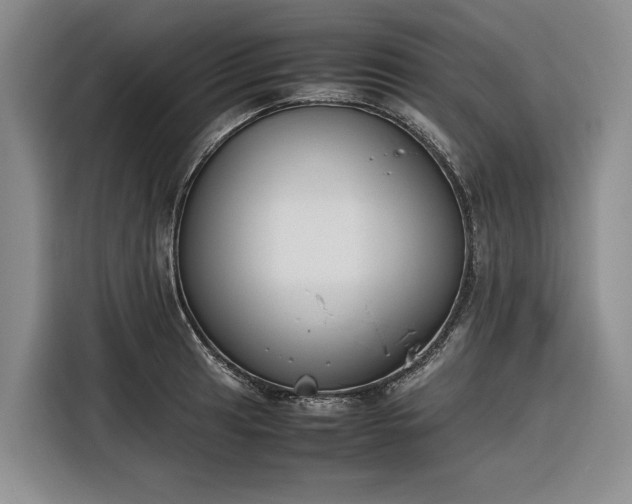 X0000116271041200912071038