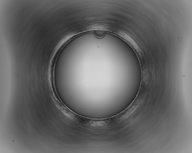 X0000116271043200912071038
