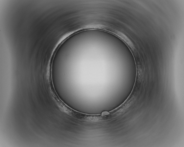 X0000116271044200912071038