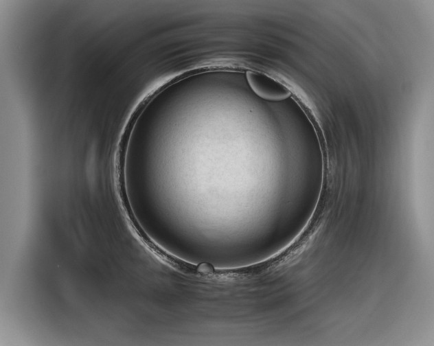 X0000116271045200912071038