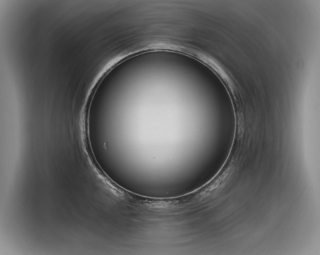 X0000116271048200912071038