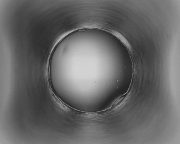 X0000116271052200912071038