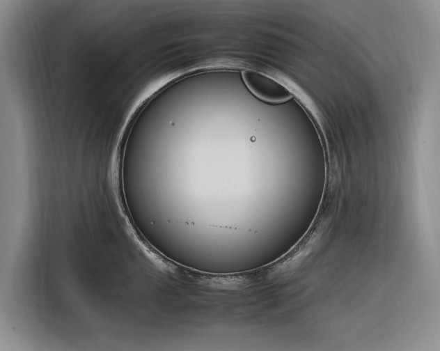 X0000116271053200912071038