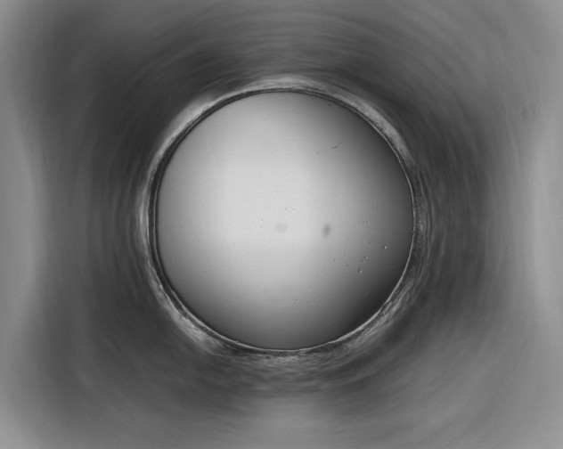 X0000116271054200912071038