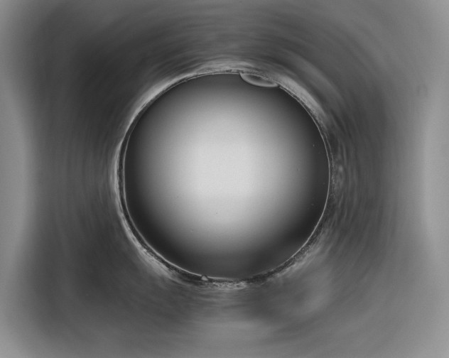 X0000116271055200912071038