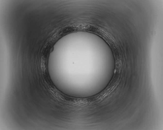 X0000116271058200912071038