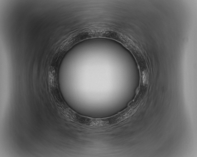 X0000116271059200912071038