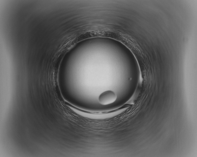 X0000116271060200912071038