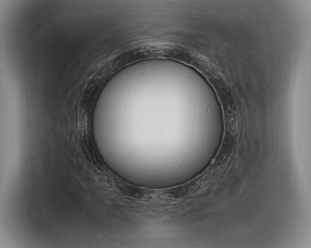 X0000116271061200912071038