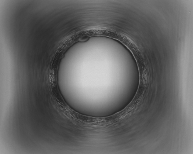 X0000116271062200912071038