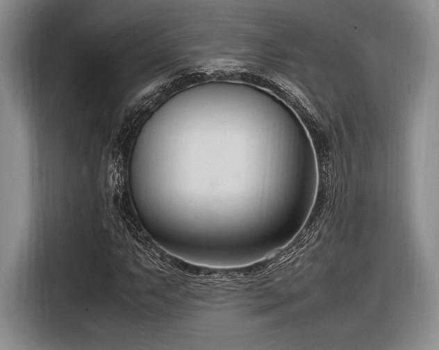 X0000116271063200912071038