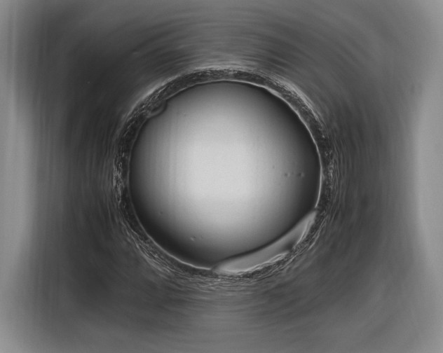 X0000116271064200912071038