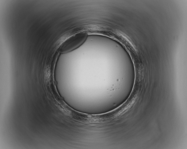 X0000116271065200912071038