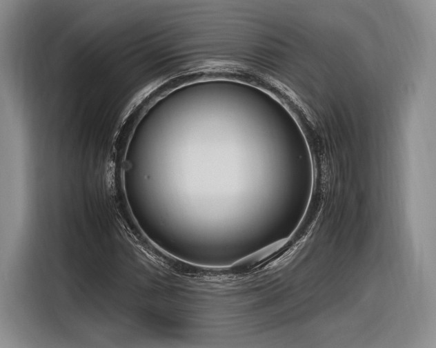 X0000116271066200912071038