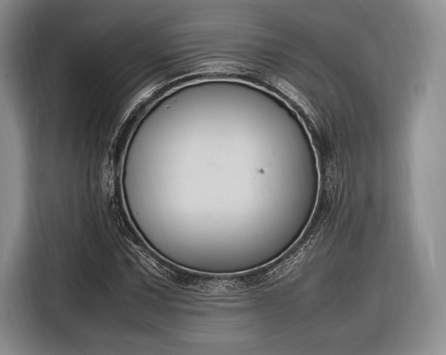 X0000116271067200912071038