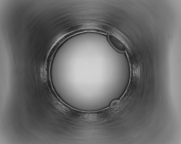X0000116271068200912071038